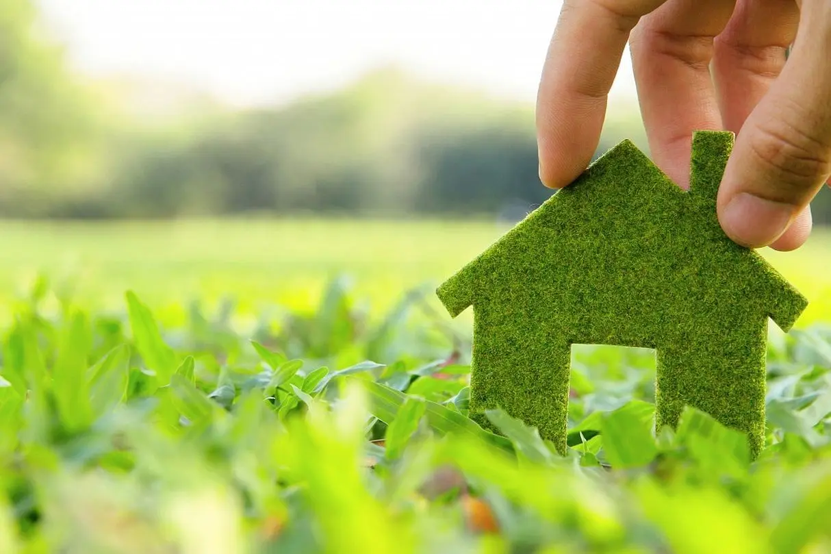 Eco-friendly Home Improvements for Sustainable Living